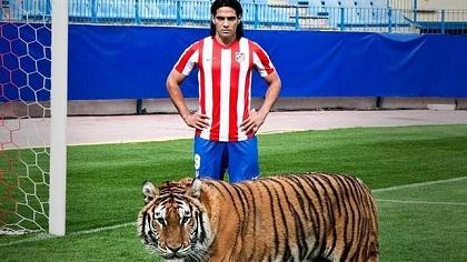 Ο Φαλκάο και οι… τίγρεις! (video)