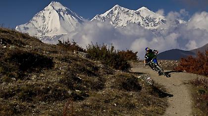 «Strength in numbers»