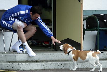 Το ημερολόγιο της Εθνικής μέρα 8η