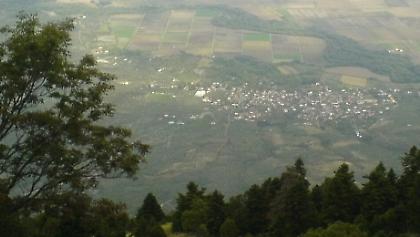 Ποια Μύκονο και κουραφέξαλα… Πάμε Φτέρη Φθιώτιδας!