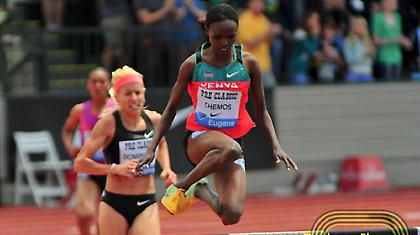 «Άνεμος» Τσέμος, Σελσούλι