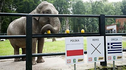 Έδειξε Πολωνία ο… ελέφαντας!