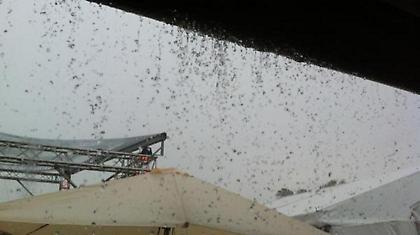 Μπόρα πριν την γιορτή!