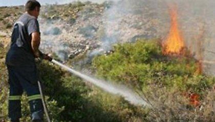 Φωτιά στη Νεάπολη Λακωνίας