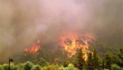 Στις φλόγες περιοχή της Κορινθίας