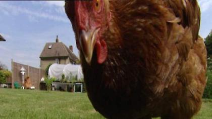 Κότεψαν οι… Ιταλοί