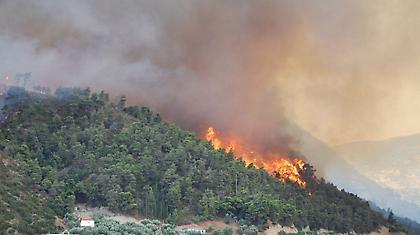 Πυρκαγιές σε Ναύπλιο, Βοιωτία