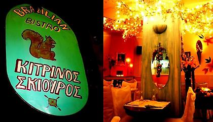 «Κίτρινος Σκίουρος»… μία όαση Βραζιλίας!