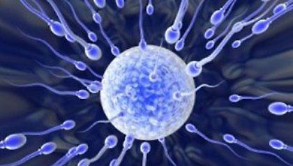 Πουλάνε 5.000 ευρώ τα ωάρια τους