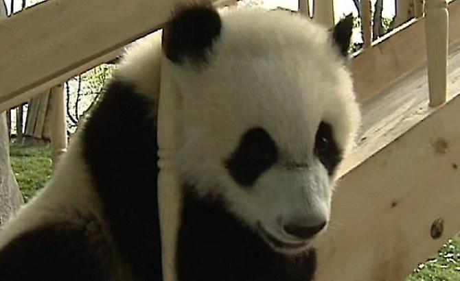 Τα πάντα κάνουν τσουλήθρα!