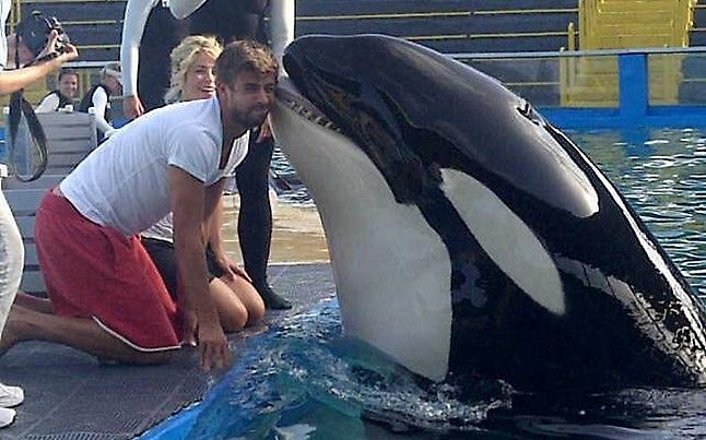 Ποια Σακίρα; Φιλί από… φάλαινα