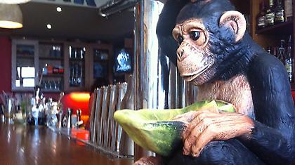 Μαϊμού Athens Bar - Καλοκαιρινές νότες με απίστευτες γεύσεις…