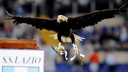 Όταν πετούν οι αετοί