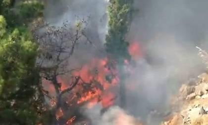 Τραγωδία στη Χίο, λεωφορείο έπεσε σε χαράδρα(vid)