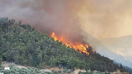Μεγάλη δασική πυρκαγιά στη Ζάκυνθο