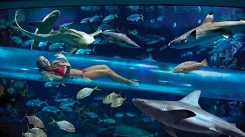 Τα σαγόνια της… νεροτσουλήθρας