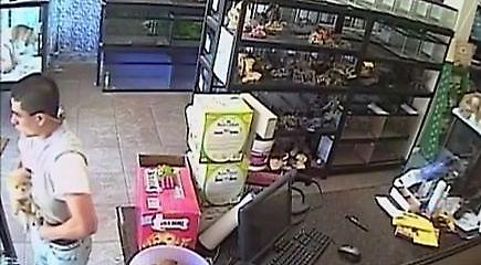 Έκλεψε κουτάβι, βάζοντας το στο βρακί του (vid)