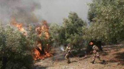 Πυρκαγιά στη Σάμο με ελαφρύ τραυματισμό ενός πυροσβέστη