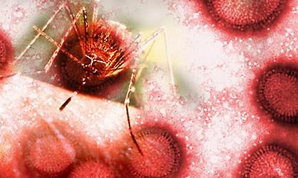 «Ο ιός θα είναι εδώ και τα επόμενα χρόνια»