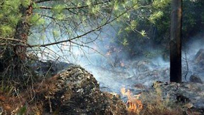 Δύο νέες απόπειρες εμπρησμού στη Χίο