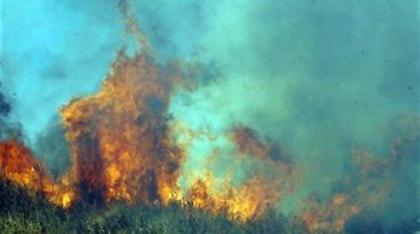Στις φλόγες περιοχή της Ζακύνθου