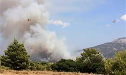 Κάηκε το 1/3 της Χίου!