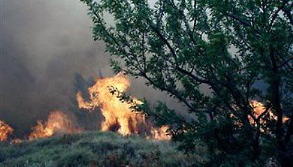 Σε ύφεση τα μέτωπα της πυρκαγιάς