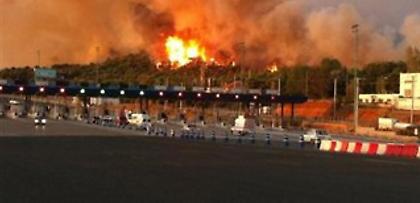 Εμπρησμός πίσω από τη φωτιά στις Αφίδνες;