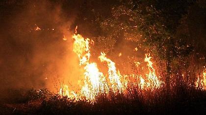 Μεγάλη πυρκαγιά στην Αρκίτσα Φθιώτιδας