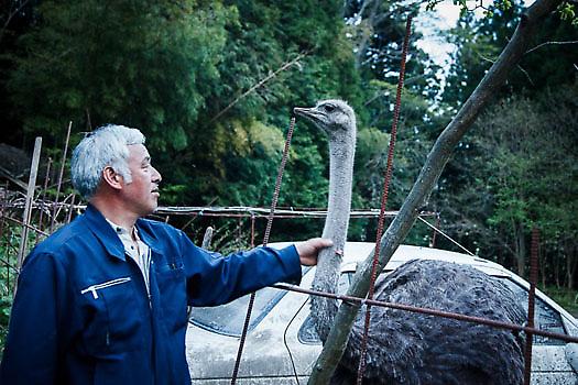 Ο ήρωας των ζώων…