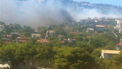 Ξέσπασε πυρκαγιά στον Νέο Βουτζά Αττικής
