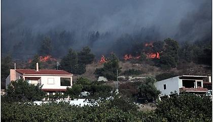 Εύβοια: Φλόγες στις αυλές των σπιτιών