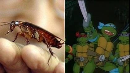 Κατσαρίδες «χελωνονιντζάκια»!