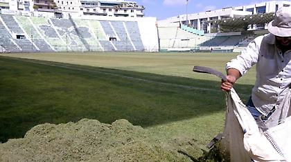 Ακατάλληλο το… χόρτο