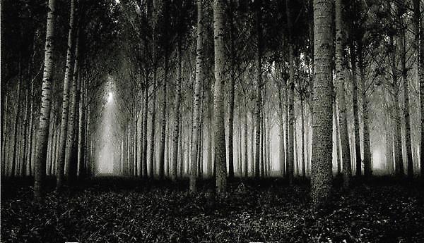 Dead Can Dance…