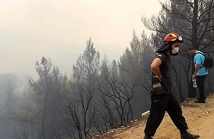 Στάχτη εκατοντάδες στρέμματα στην Κρήτη
