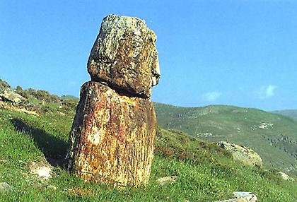 «Οχι» στη Λέσβο για Γεωπάρκο της Unesco - διάκριση που έχει μόνο το Απολιθωμένο Δάσος