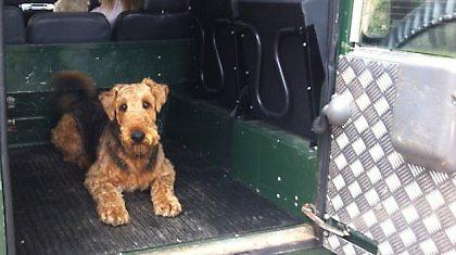 Όταν οι πιλότοι έχουν έμπνευση