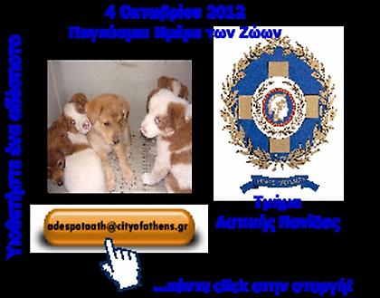 Παγκόσμια Ημέρα των Ζώων: κάντε... κλικ στη στοργή