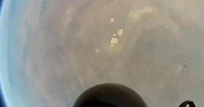 Νέες εικόνες από την πτώση του Φέλιξ!