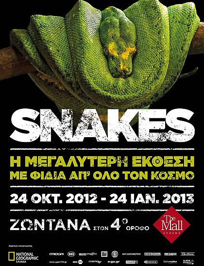 Η μεγαλύτερη έκθεση με φίδια απ’ όλο τον κόσμο!