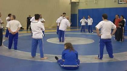 Σεμινάρια για το Παγκράτιο