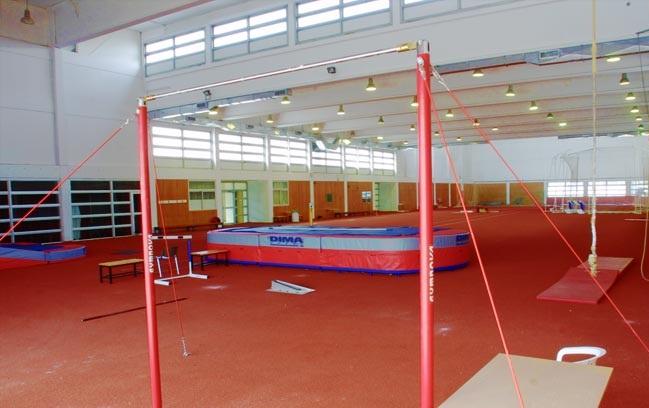 Αθλητές… πιγκουίνοι