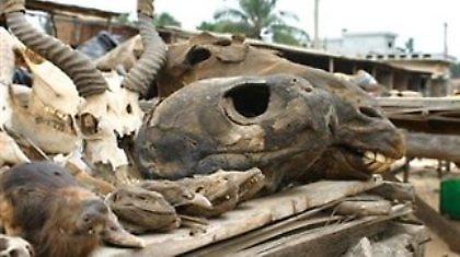 Ζήτησε αύξηση φόρων για μάγους και μέντιουμ