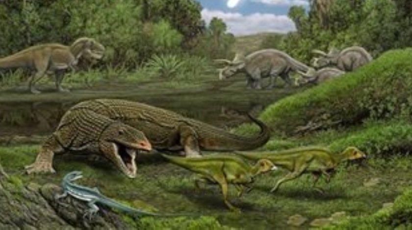 Έδωσαν το όνομα του Ομπάμα σε... σαύρα