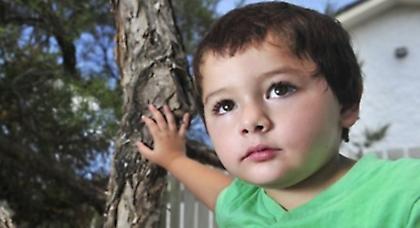 Bρήκε επτά φίδια στη ντουλάπα του 3χρονου γιου της