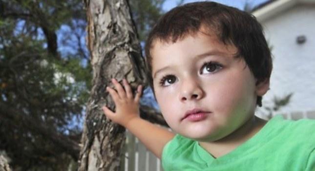 Bρήκε επτά φίδια στη ντουλάπα του 3χρονου γιου της