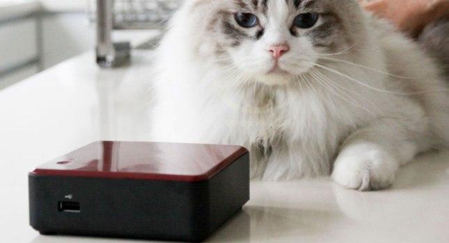 H Intel παρουσιάζει το NUC, τη νέα κατηγορία home υπολογιστών τσέπης