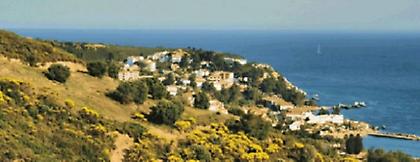 «Κάτσε καλά, γιατί θα σου γράψω το σπίτι»…