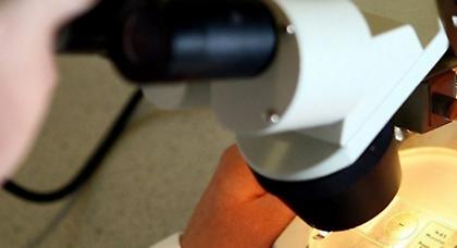 Η νέα του μύτη μεγαλώνει... στο χέρι του